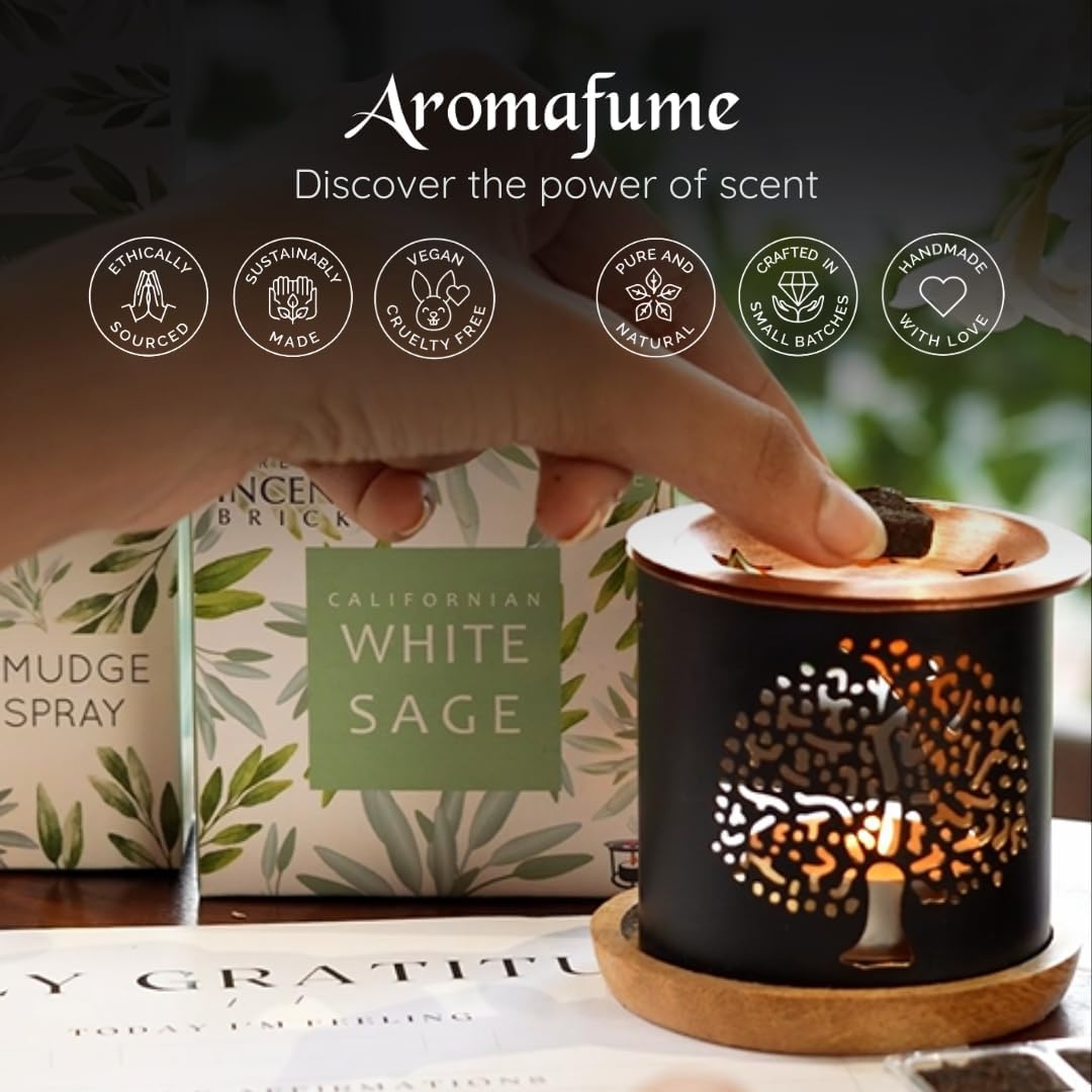 White Sage Frankincense Incense Bricks with Snowflake Burner by Aromafume