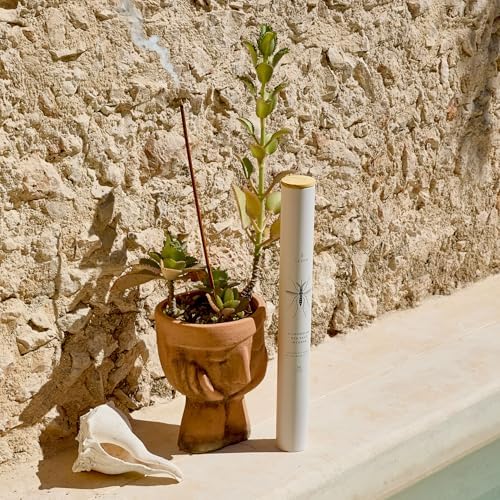 Skeem Sea Salt Citronella Jumbo Incense Sticks - 30 Count Tube
