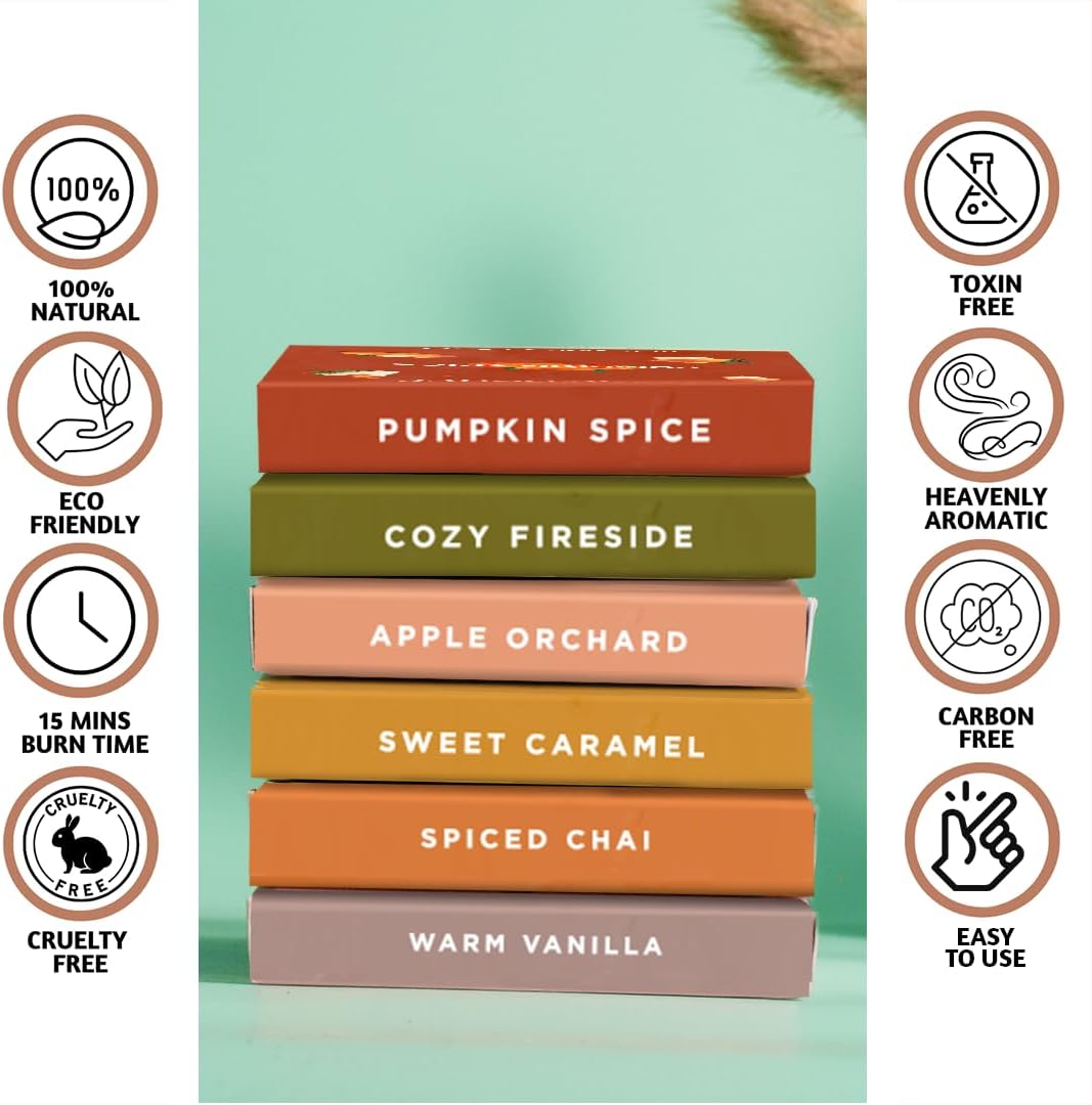 Folkulture Fall Incense Cone Set of 6 with 60 Cones