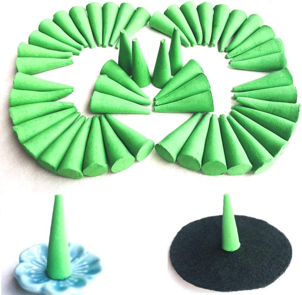Citronella Scented Incense Cones 50 Count with Holders