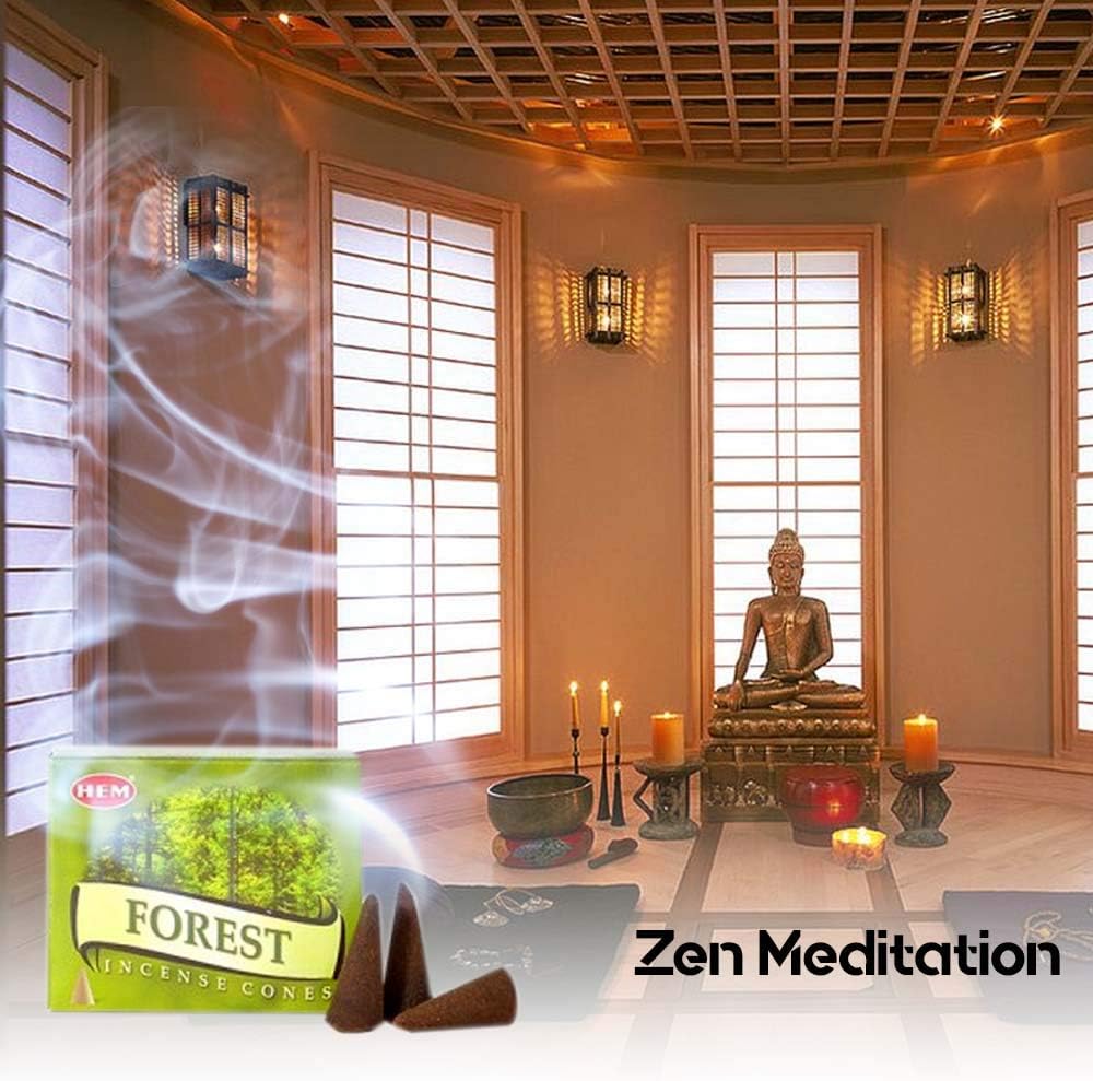 HEM Forest Pack of 12 Incense Cones Boxes 10 Each