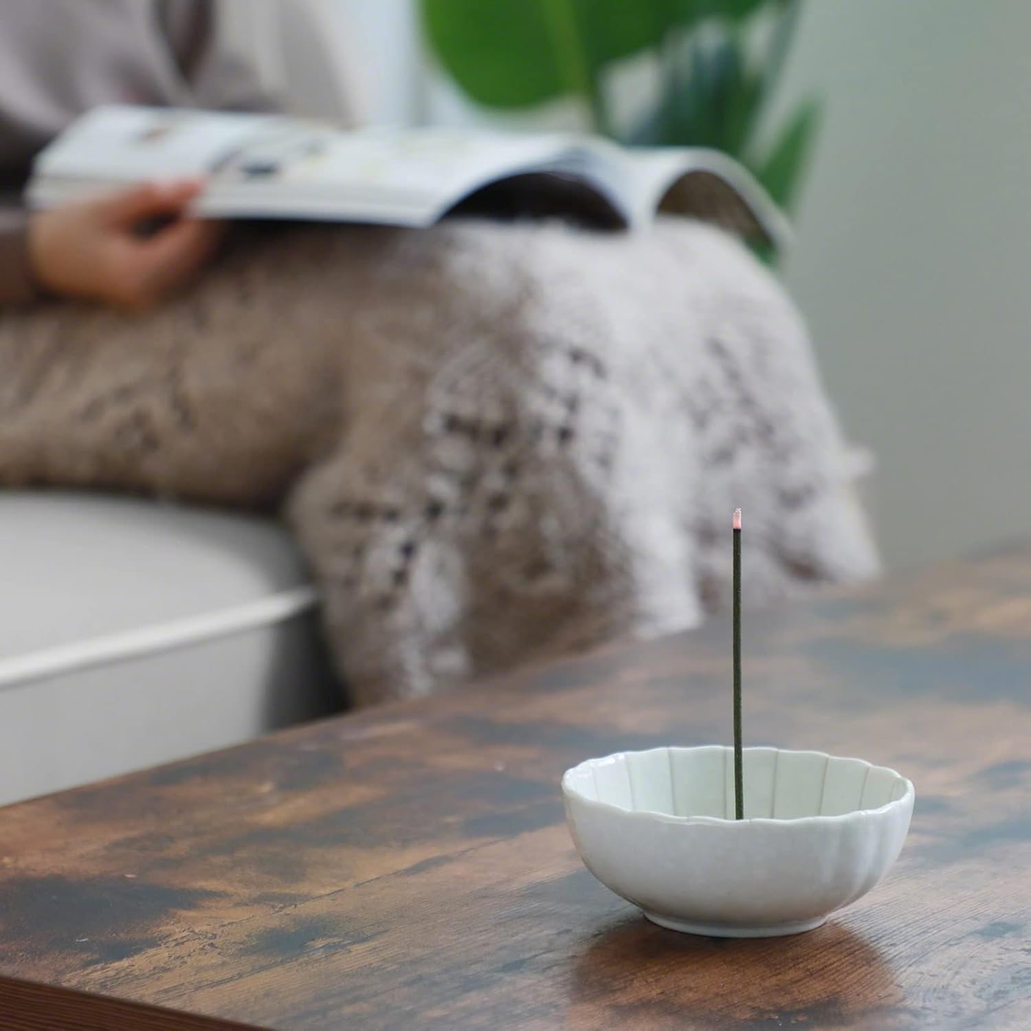 Asayu Japan White Lotus Incense Holder Set