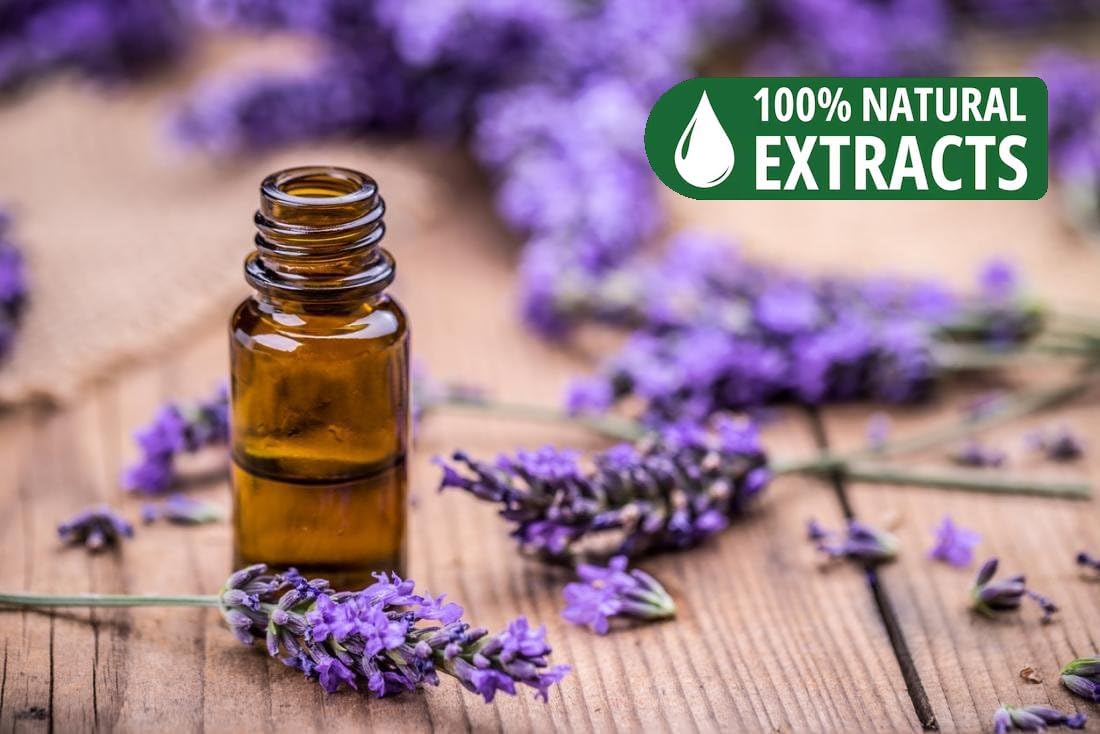 Bless Lavender 100 Natural Hand Dipped Incense Sticks 100 Sticks