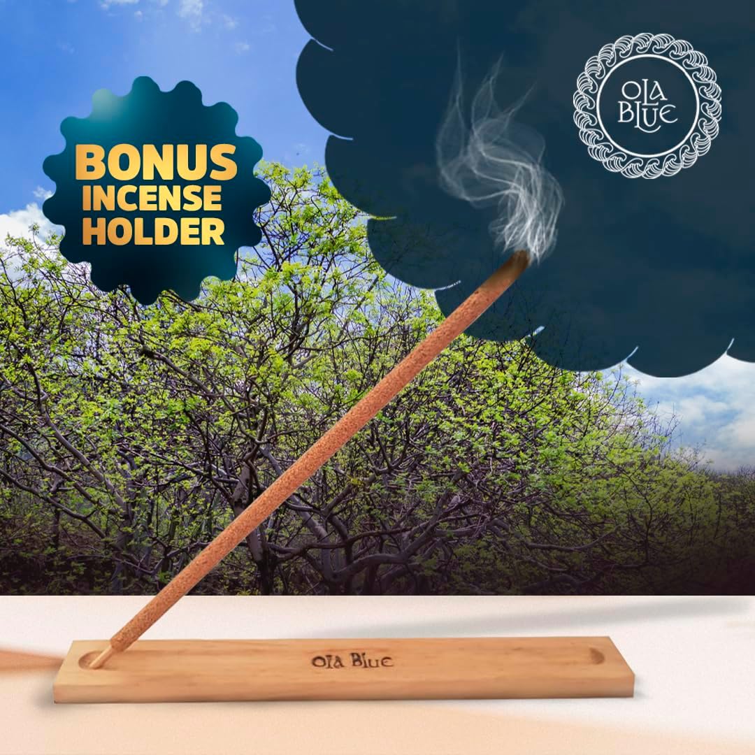 OLA BLUE Palo Santo Incense Sticks 12 Pack with Holder