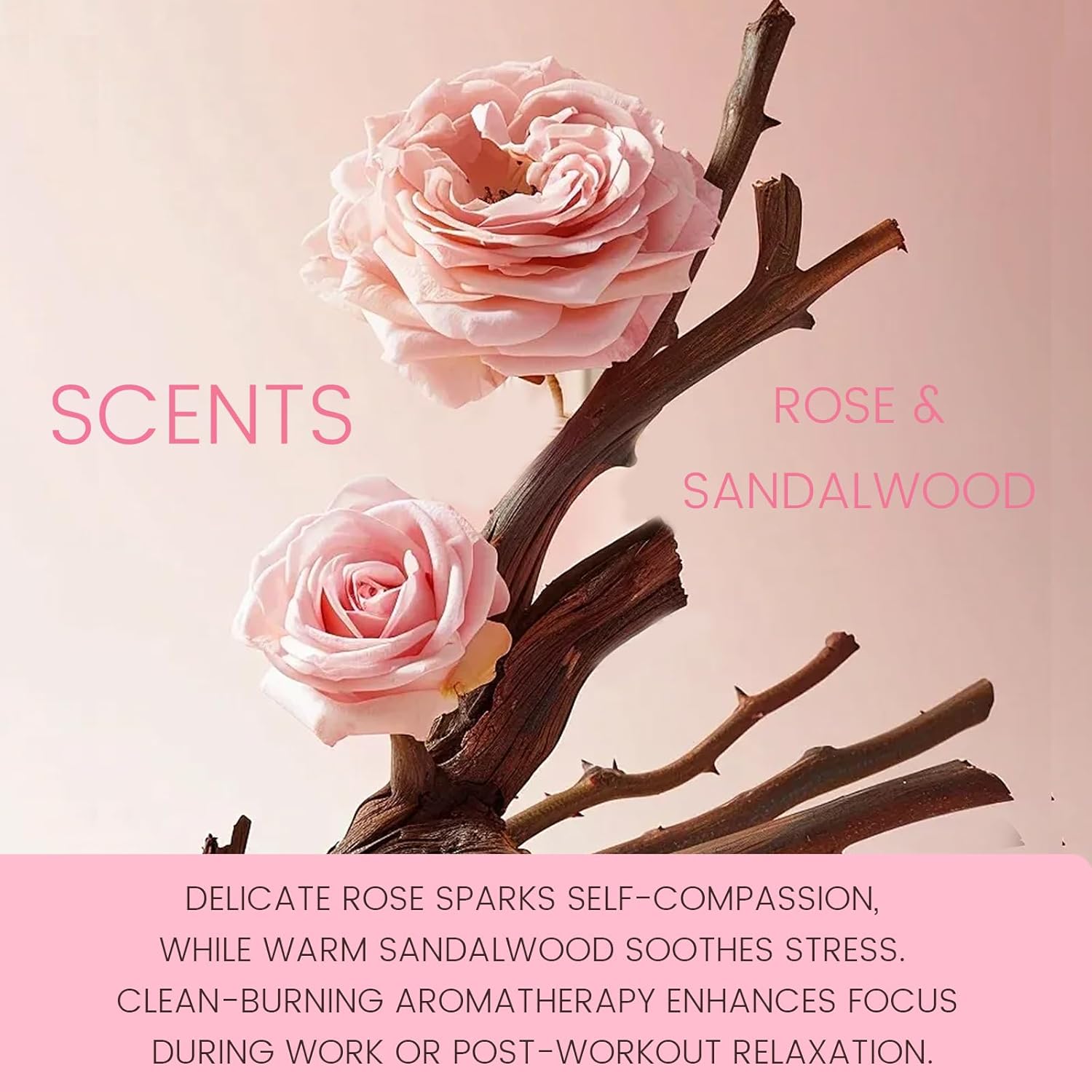 Joytezz Love Attraction Incense Stick Set with Rose Quartz Holder