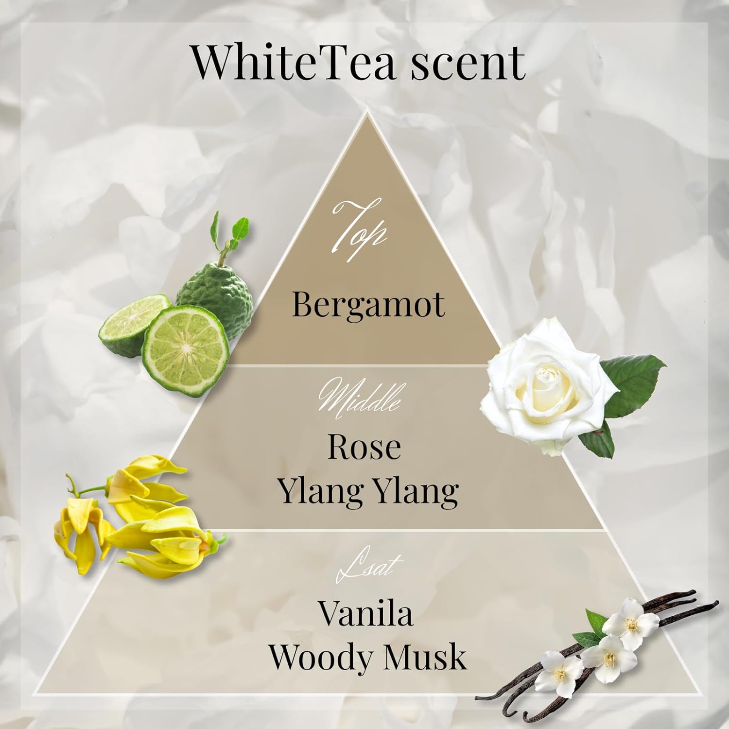 Luxury Japanese Incense Sticks 60pcs Calming Aromatherapy