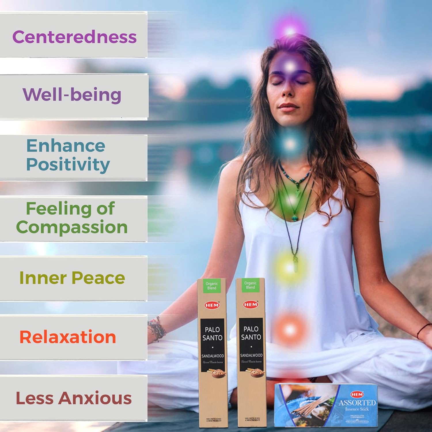 HEM Assorted Incense Sticks 6 Packs - Aromatherapy for Air Purifier Meditation and Relaxation