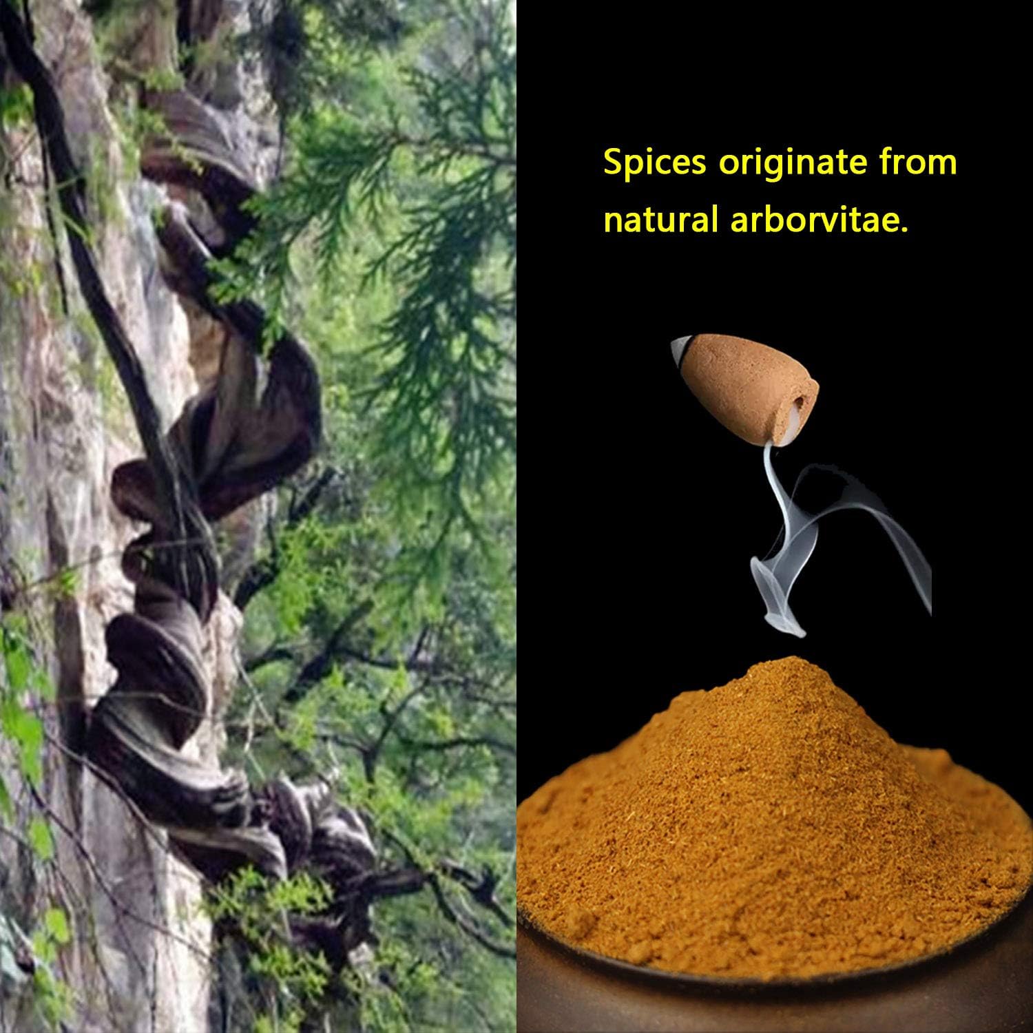 600 pcs Backflow Incense Cones for Waterfall Meditation Relaxation in 2 Bottles