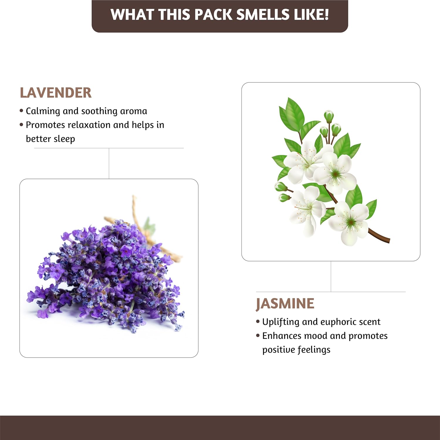 Folkulture Incense Cones Set of 20 Lavender Jasmine Variety Pack