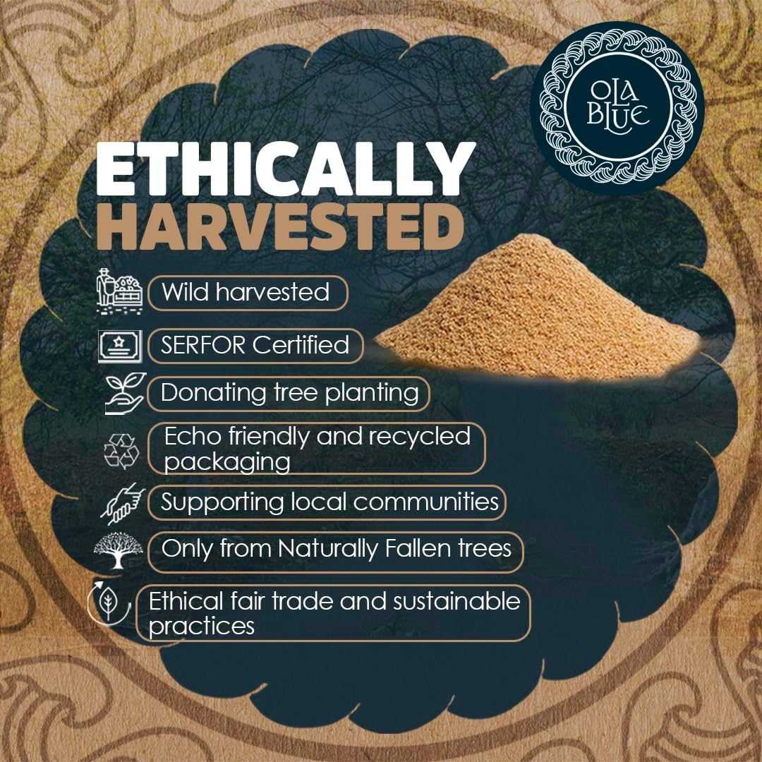 OLA BLUE Palo Santo Powder 4oz Natural from Peru for Smudging and Meditation