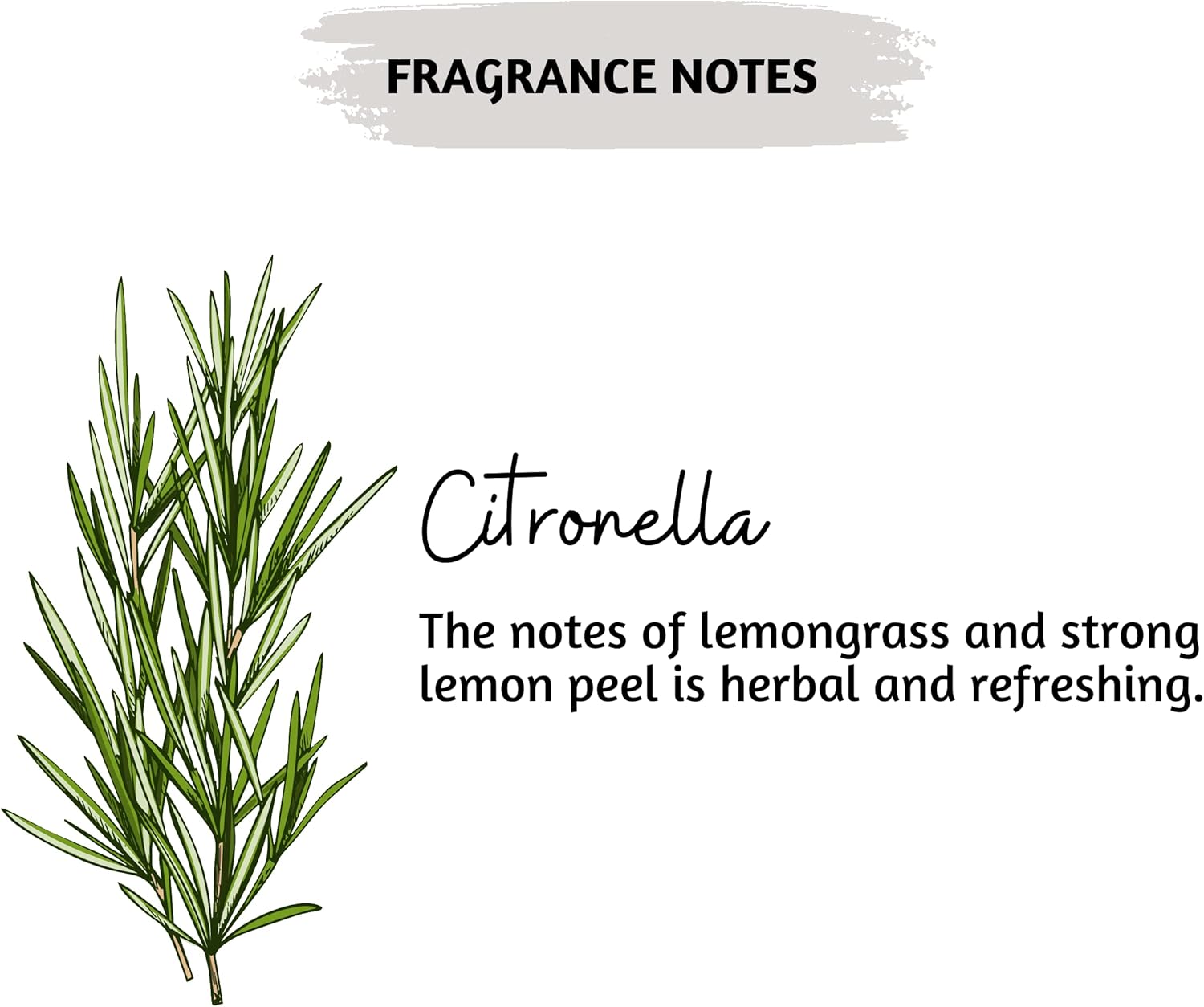 Folkulture Citronella Incense Sticks Set of 75