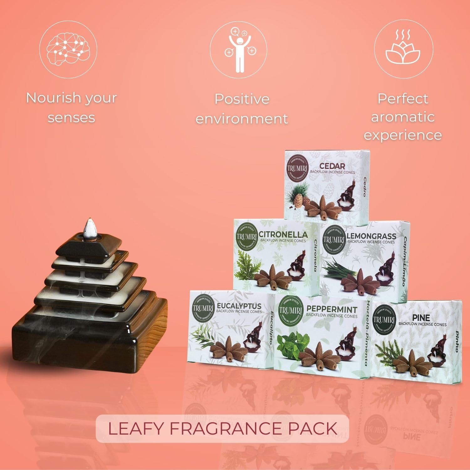 Leafy Backflow Incense Cones Variety Pack 60