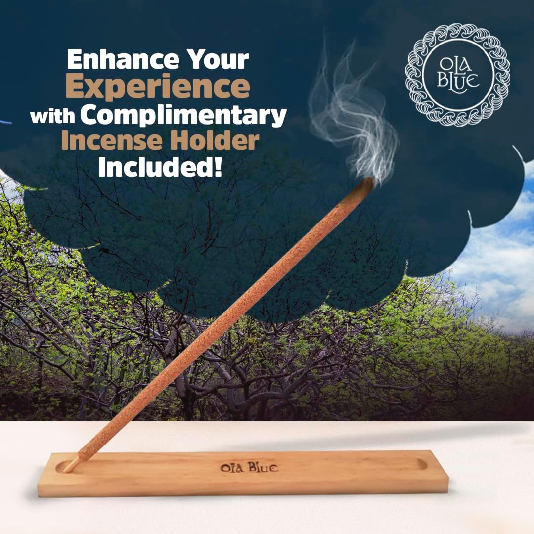 OLA BLUE Palo Santo Incense Sticks 12 Pack with Holder