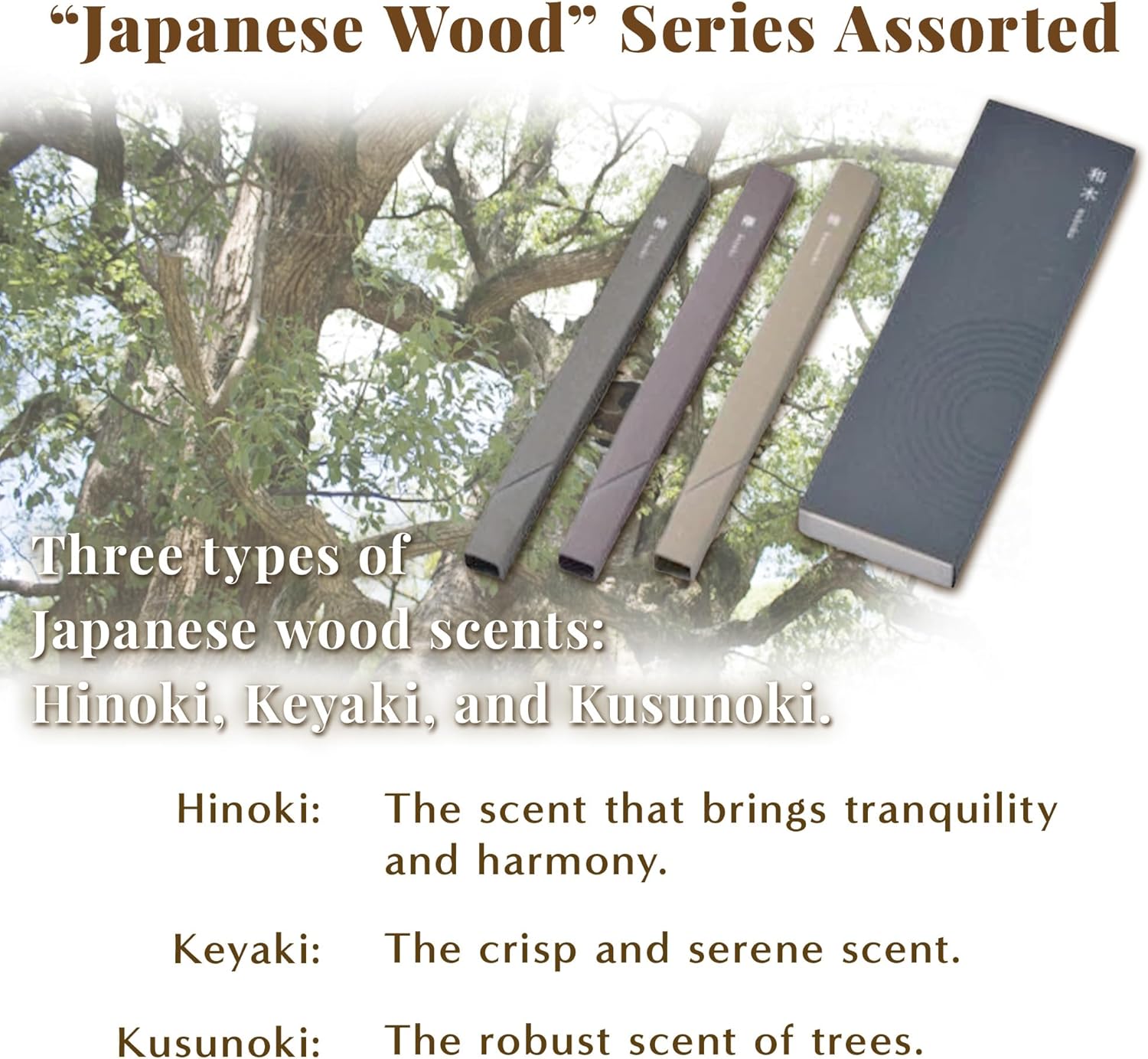 Hasegawa Japanese Wood Incense Sticks 3 Variety Pack