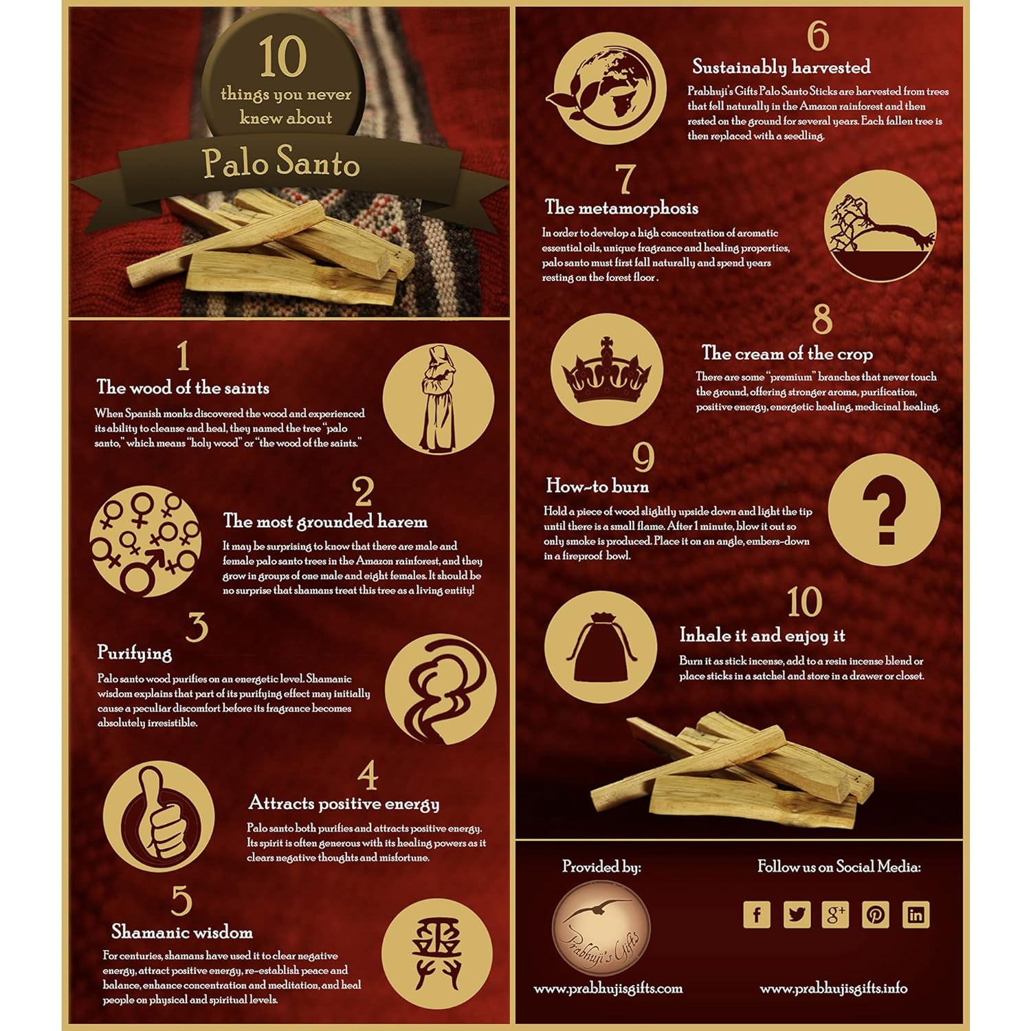 Prabhujis Gifts Palo Santo Incense Cones - 6 Pack Spiritual Aromas