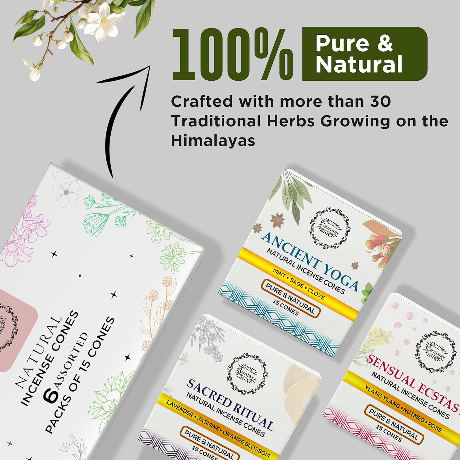 Raajsee Natural Incense Cones Gift Pack 90 Total