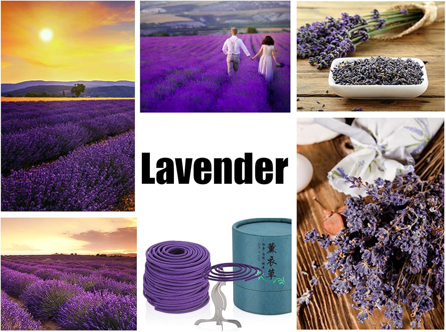 Miupoo Fragrant Coil Incense Lavender 24pcs Box