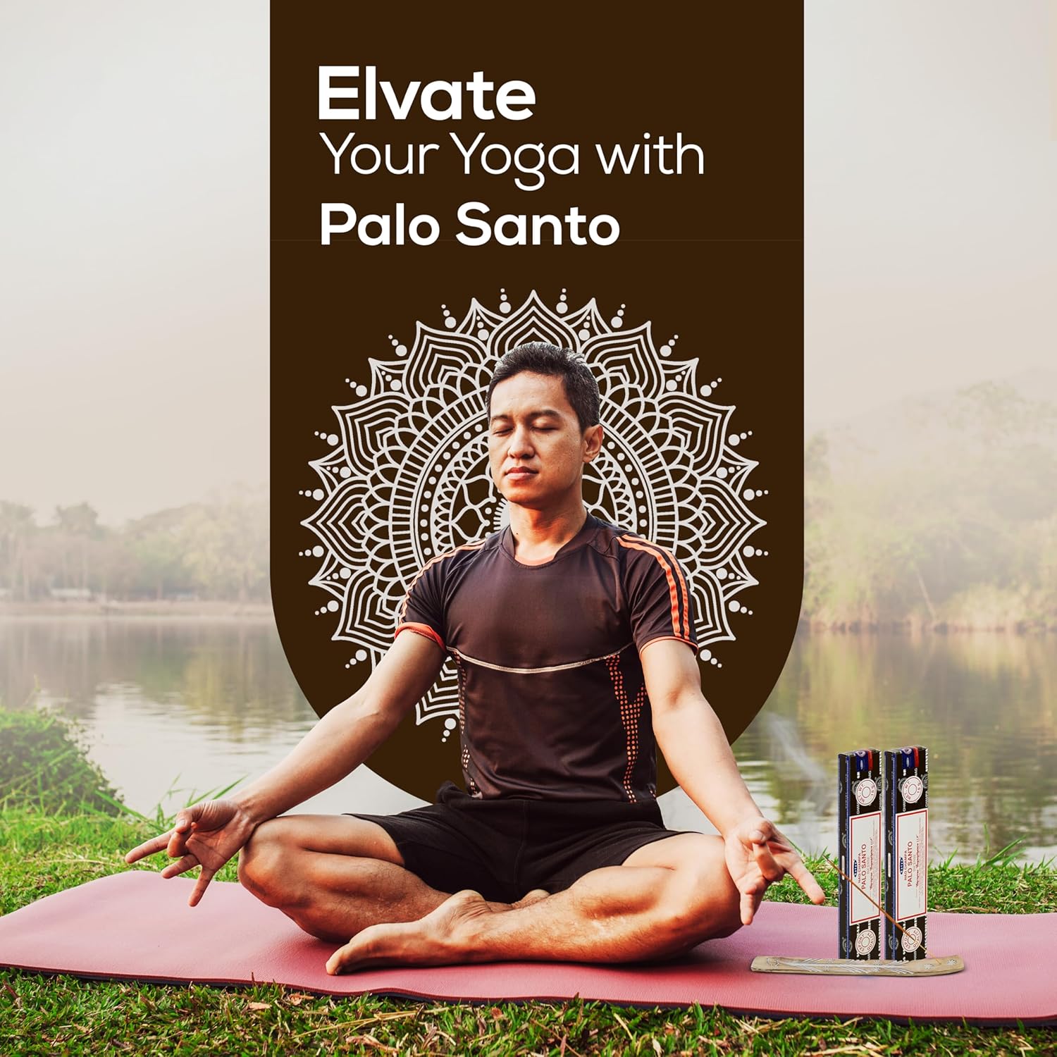 Satya Palo Santo Incense Sticks 15gmx12 Pack with Raajsee Incense Holder