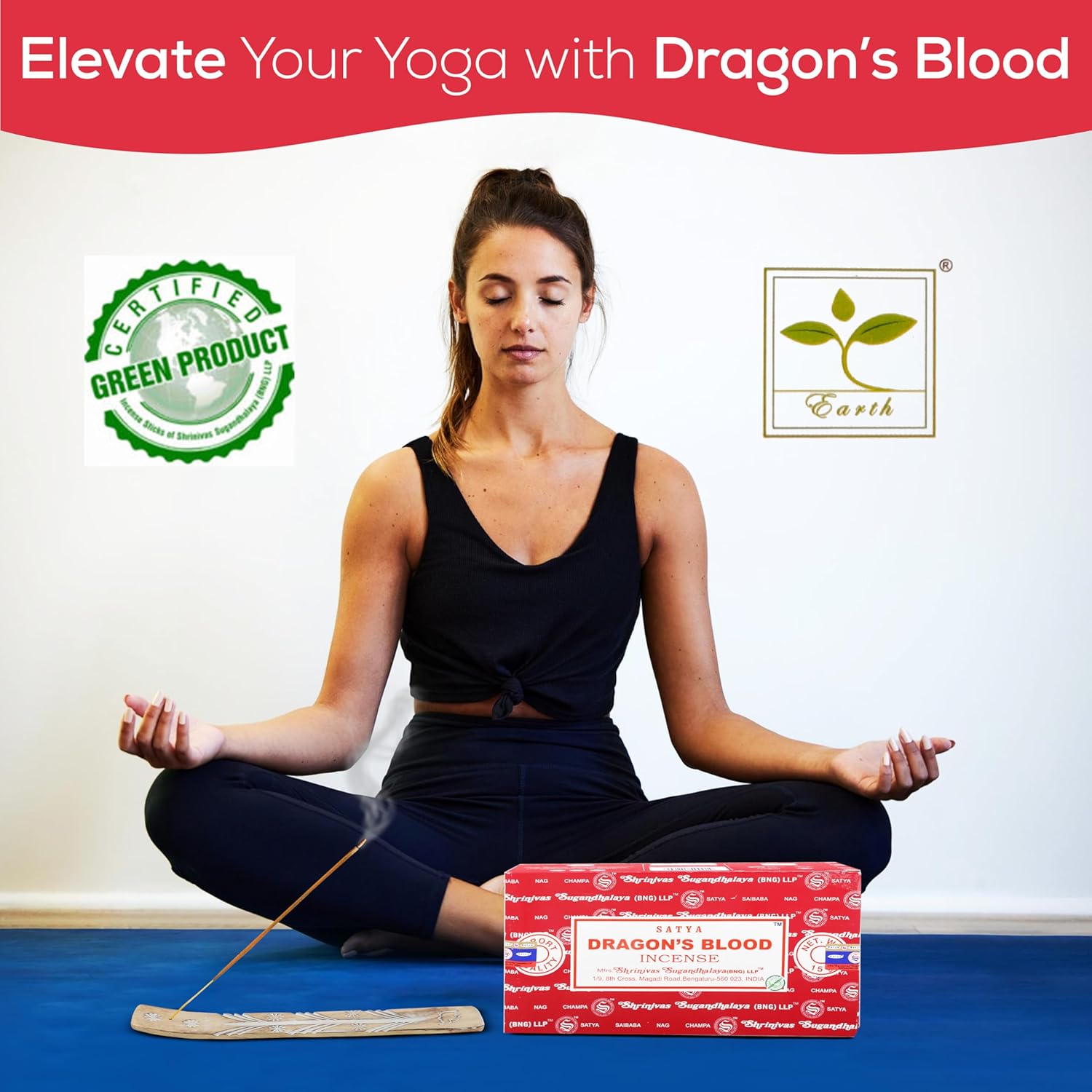 Raajsee Satya Dragon Blood Incense Sticks 15gmx12 Pack with Holder Bundle