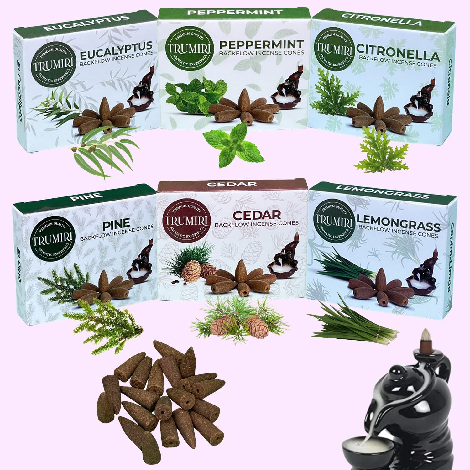 Leafy Backflow Incense Cones Variety Pack 60