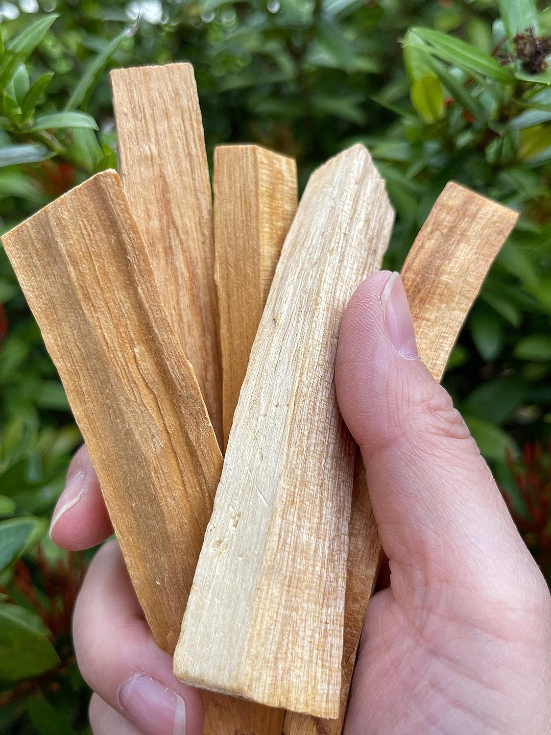 GAF TREASURES 4 Palo Santo Stick Bulk Lot