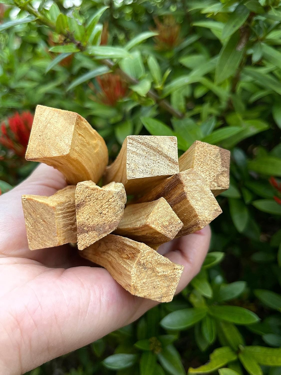 GAF TREASURES 4 Palo Santo Stick Bulk Lot